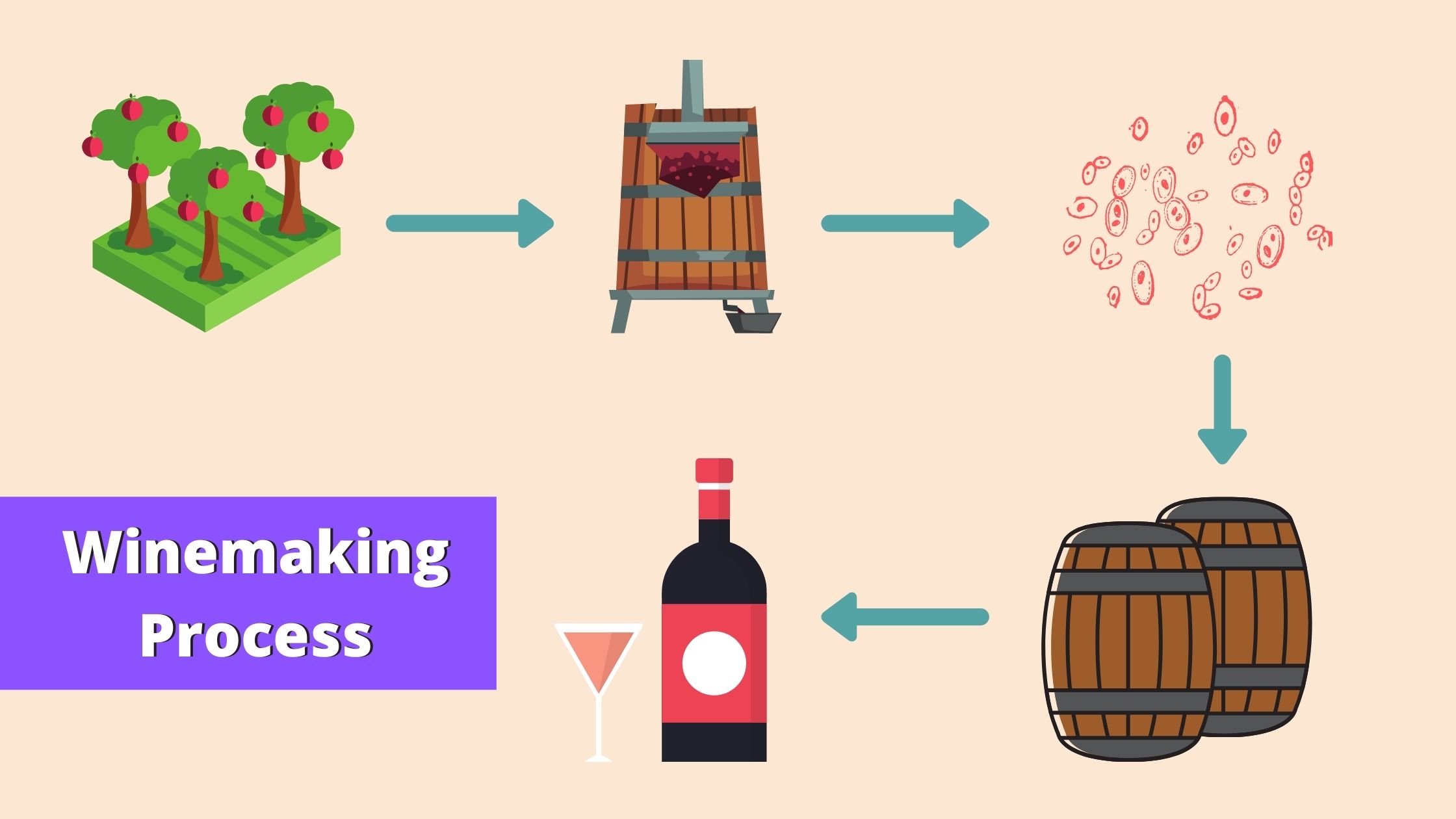 Winemaking Process